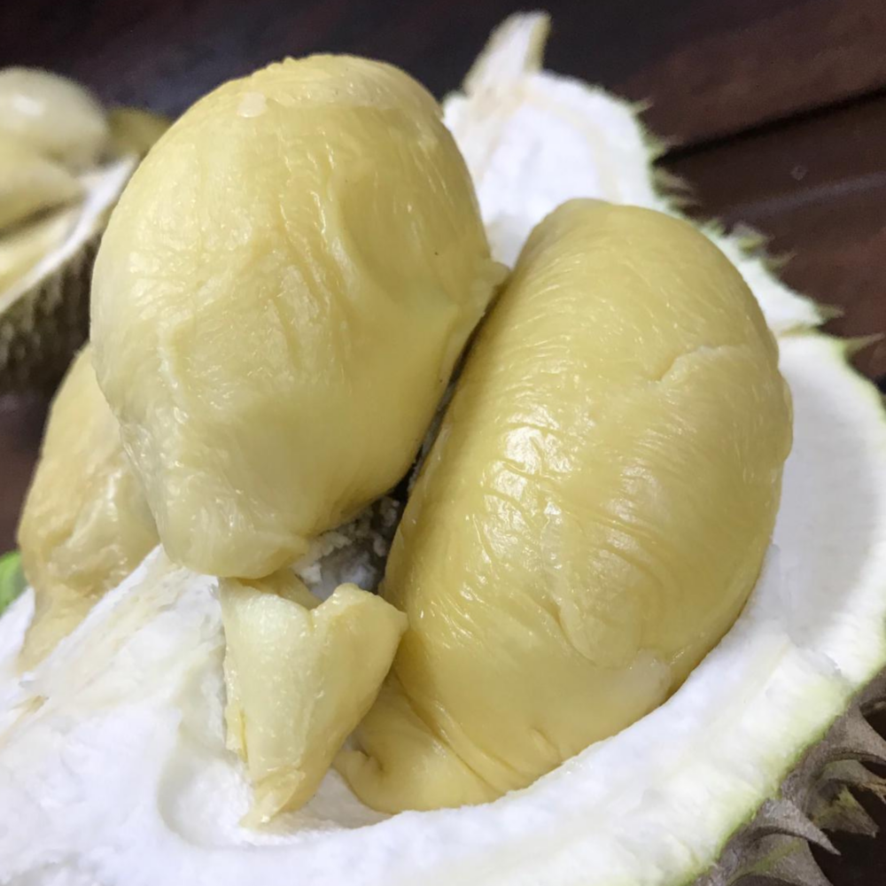 A6 Pahang XO D24 - 800g