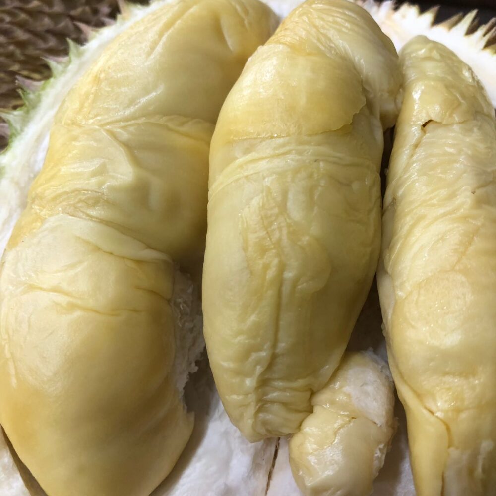 A6 Pahang Golden Phoenix (Jin Feng Durian) (800g)