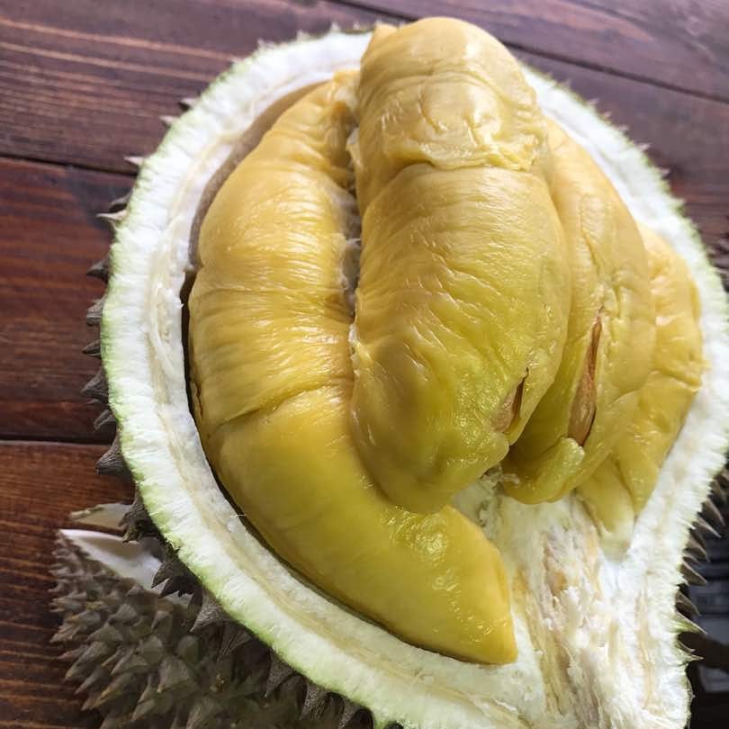 Download 7300 Gambar Durian Botak Paling Baru HD