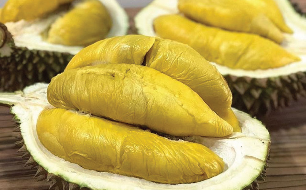black-gold-durian
