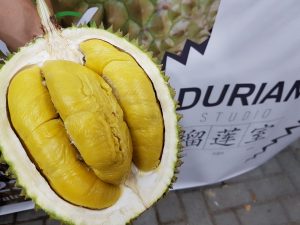 durian-studio-sg