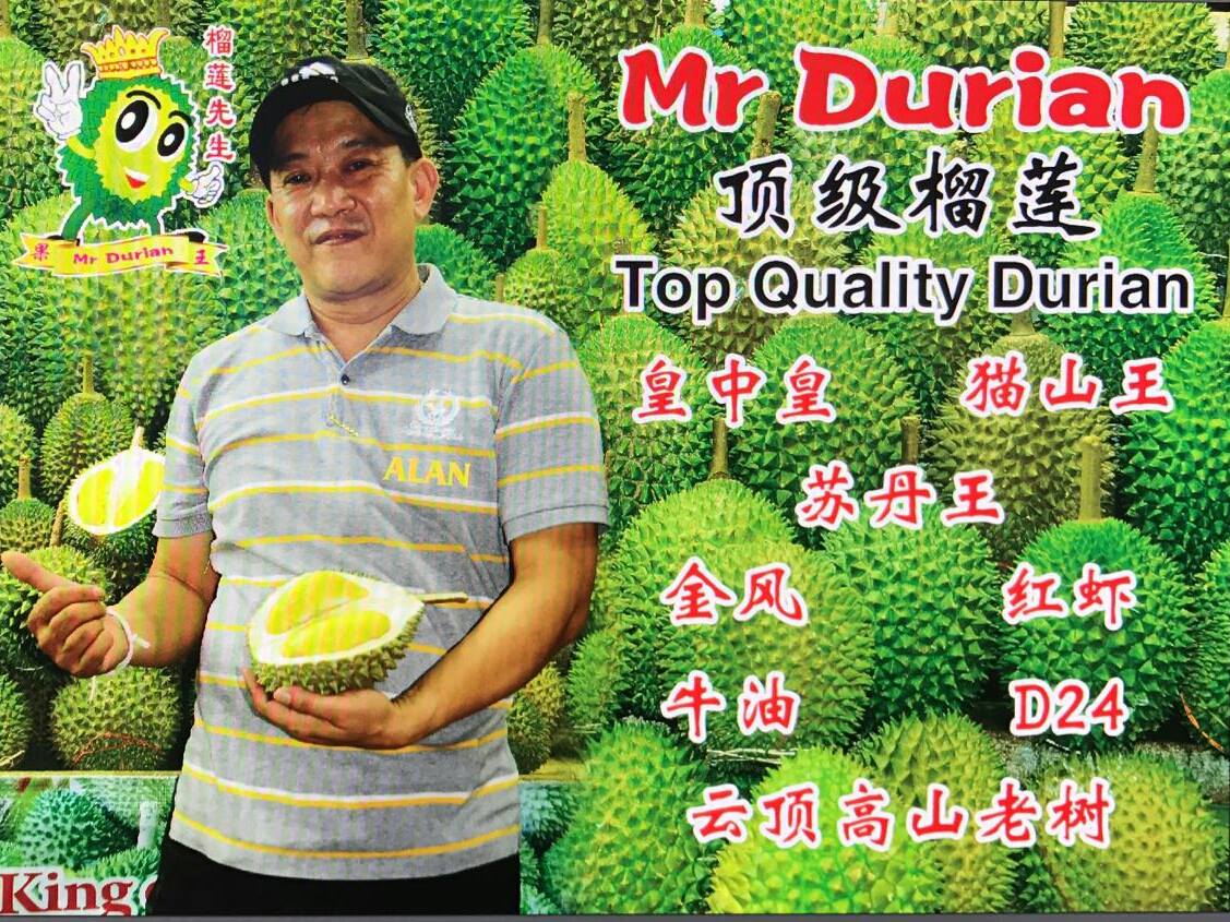 mr-durian