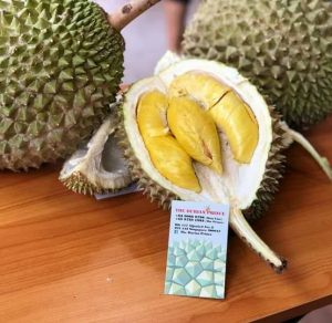the-durian-prince
