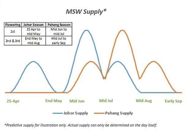 Durian Delivery Singapore