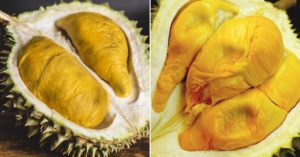 durian buying guide