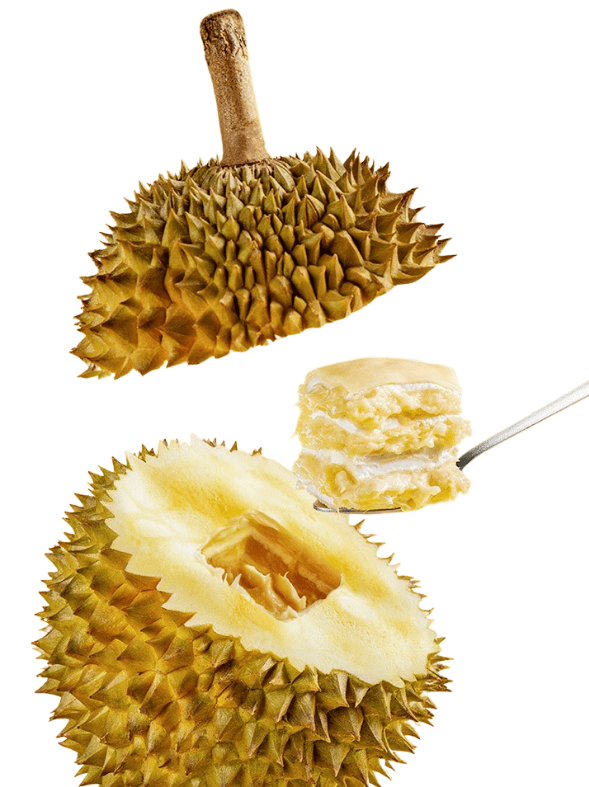 Durian Delivery Singapore