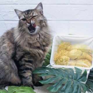 Durian Delivery Singapore