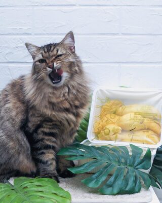 Durian Delivery Singapore