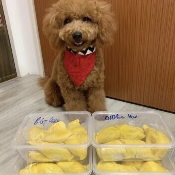 Durian Delivery Singapore
