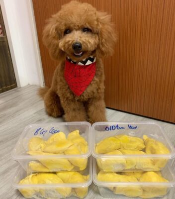 Durian Delivery Singapore