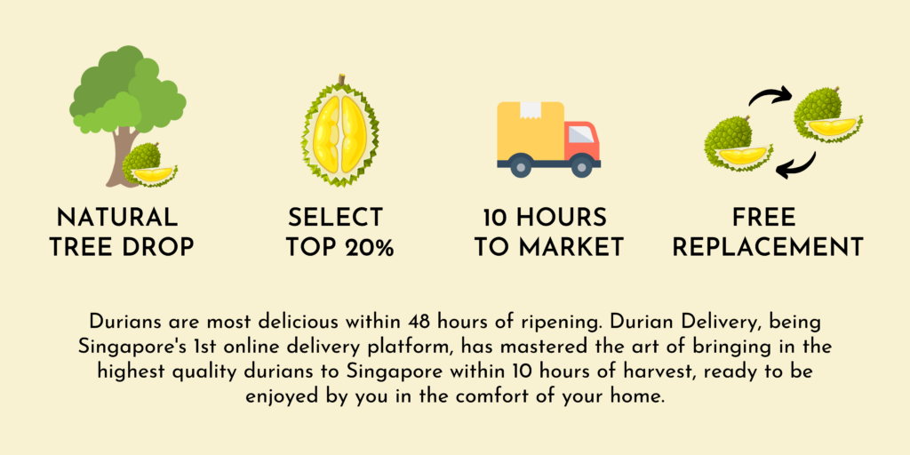 Durian Delivery Singapore