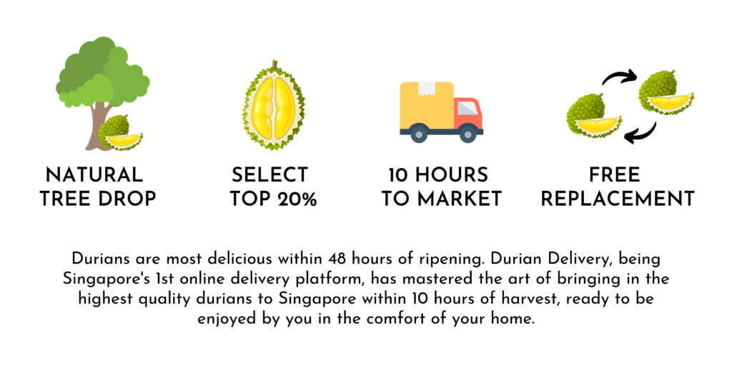 Durian Delivery Singapore