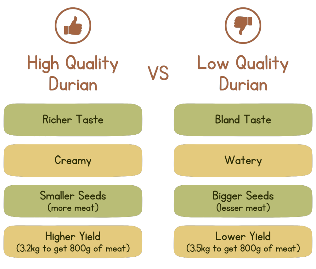 Durian Delivery Singapore