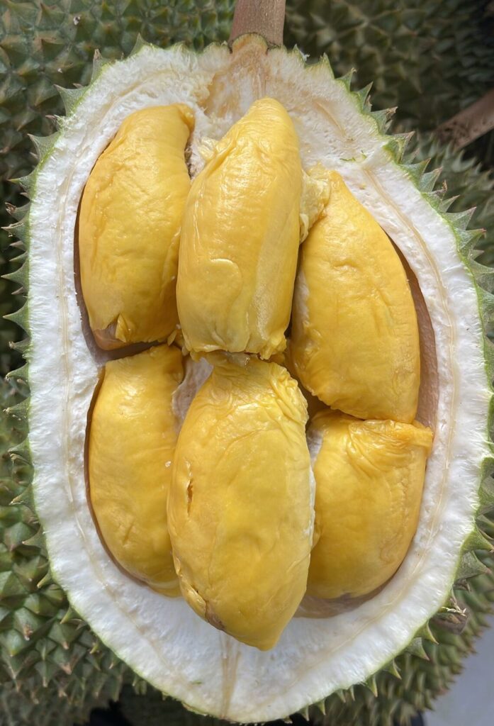 Durian Delivery Singapore