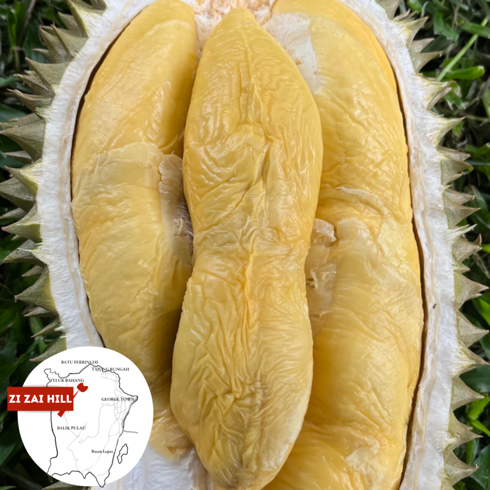 A7 Penang Milky Queen Red Prawn (800g)