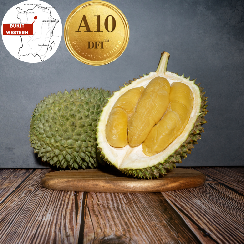 A10 Penang Signature Black Gold, Bukit Western (800g) - Durian Delivery ...