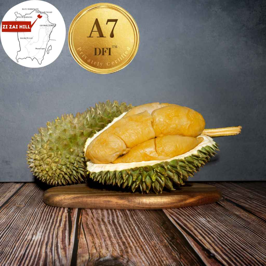 A7 Penang Hulu Durian (D163), Zi Zai Hill (800g) - Durian Delivery ...