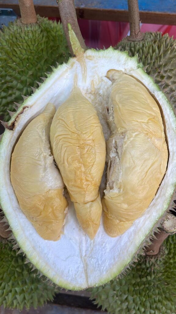 Durian Delivery Singapore
