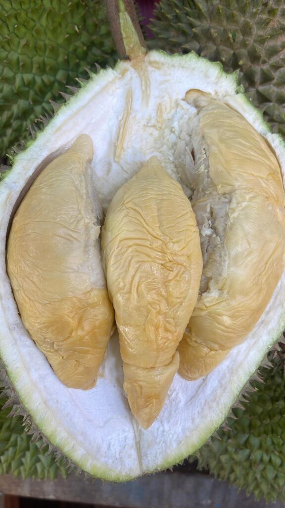 Durian Delivery Singapore
