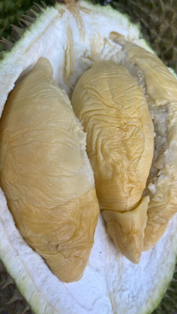 Durian Delivery Singapore