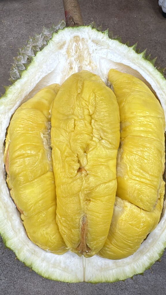 Durian Delivery Singapore