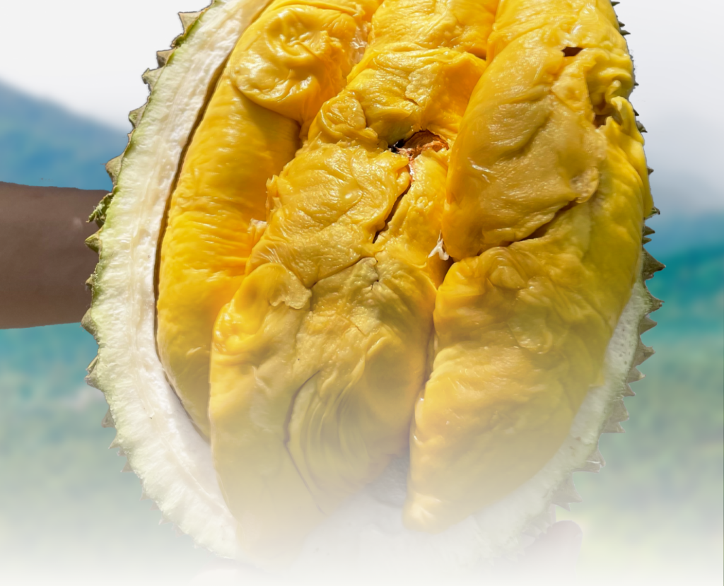 Durian Delivery Singapore