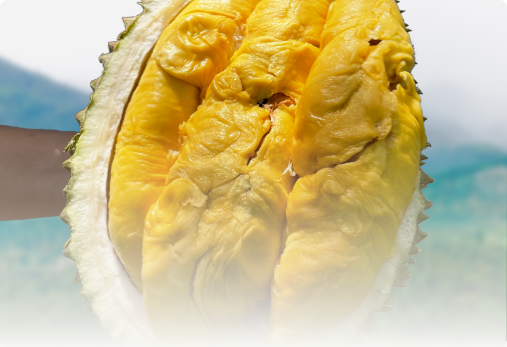 Durian Delivery Singapore