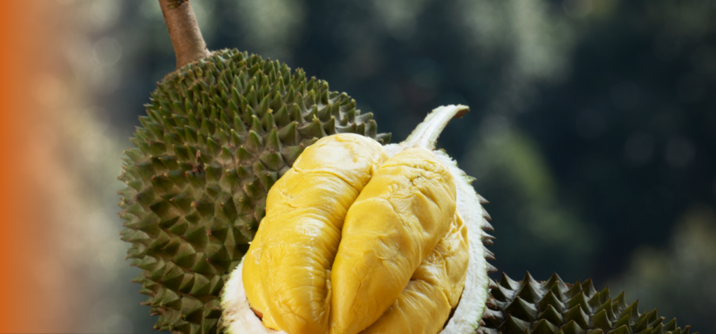 Durian Delivery Singapore