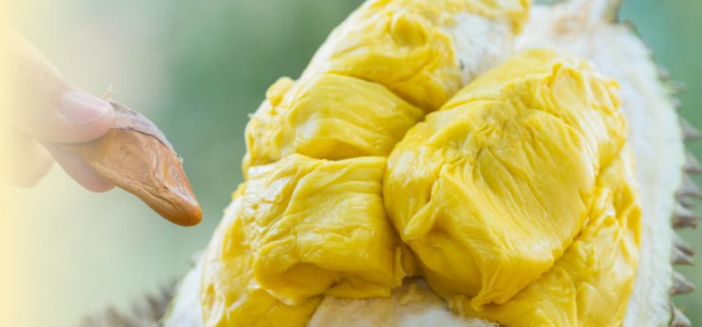Durian Delivery Singapore