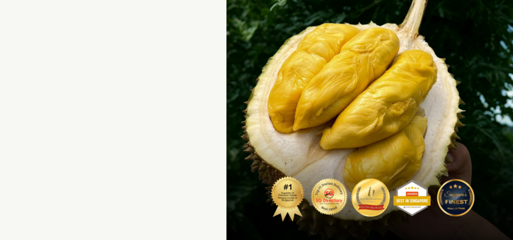 Durian Delivery Singapore