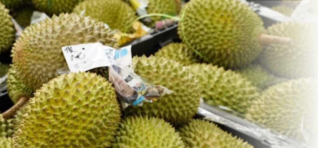 Durian Delivery Singapore