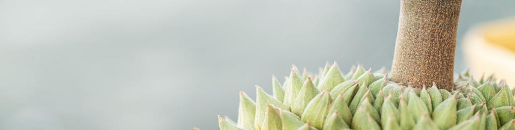 Durian Delivery Singapore