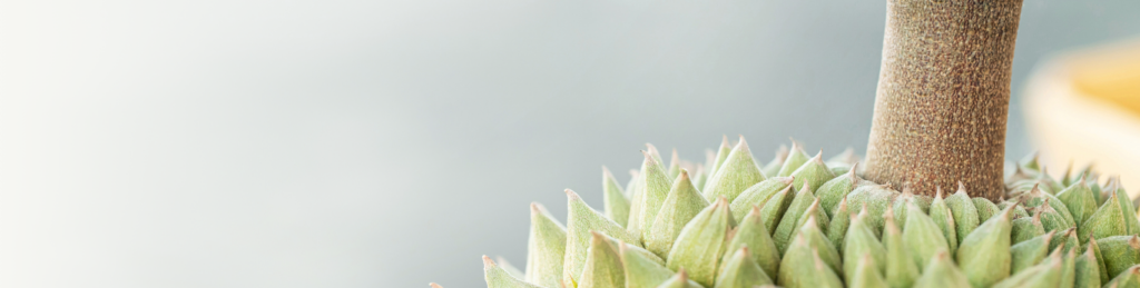 Durian Delivery Singapore