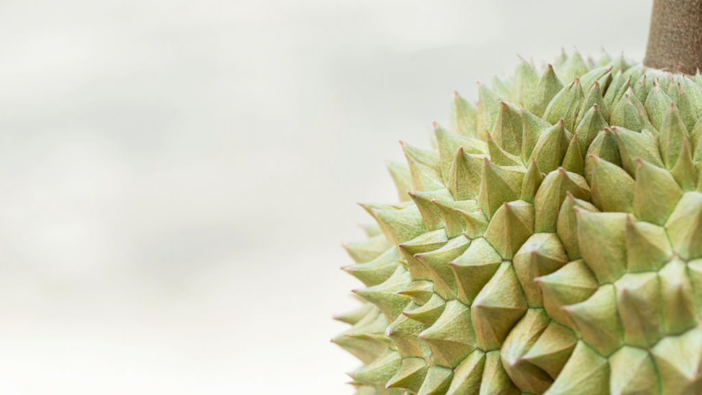Durian Delivery Singapore