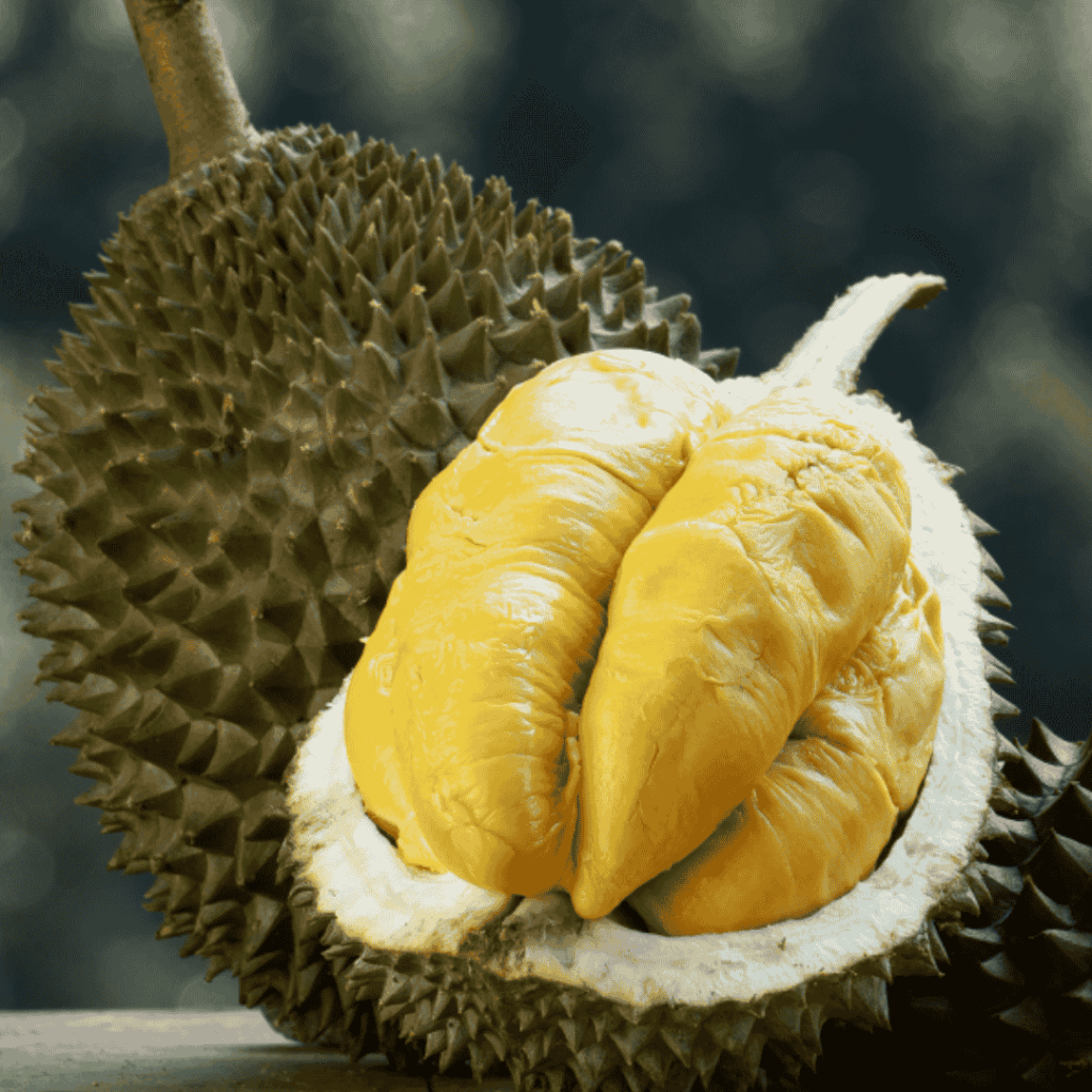Durian Delivery Singapore