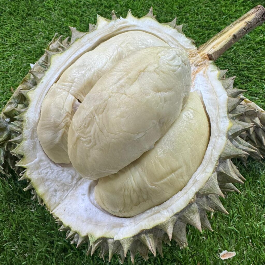 Durian Delivery Singapore