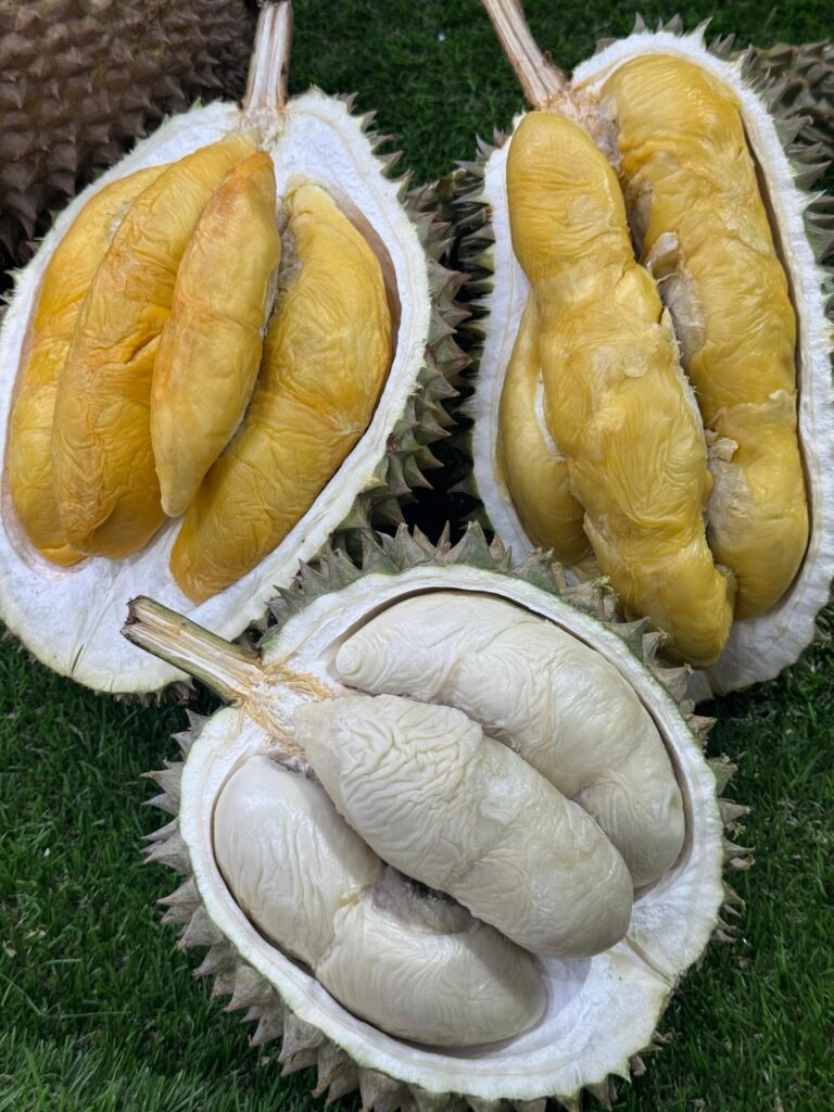 Durian Delivery Singapore